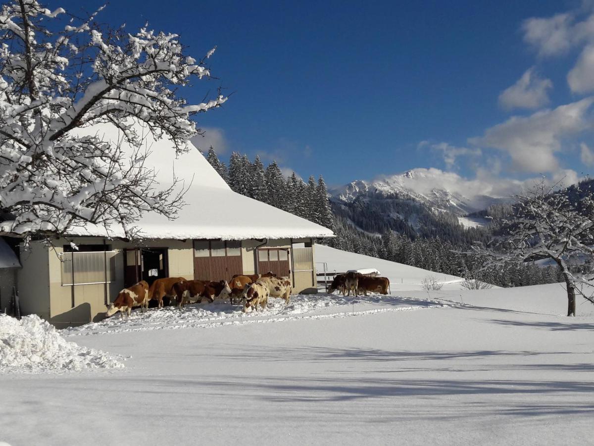 Apartmán Biobauernhof Obereck Göstling an der Ybbs Exteriér fotografie