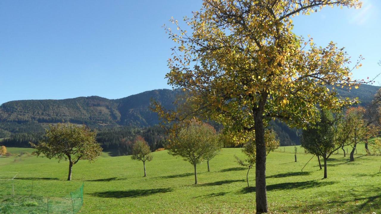 Apartmán Biobauernhof Obereck Göstling an der Ybbs Exteriér fotografie