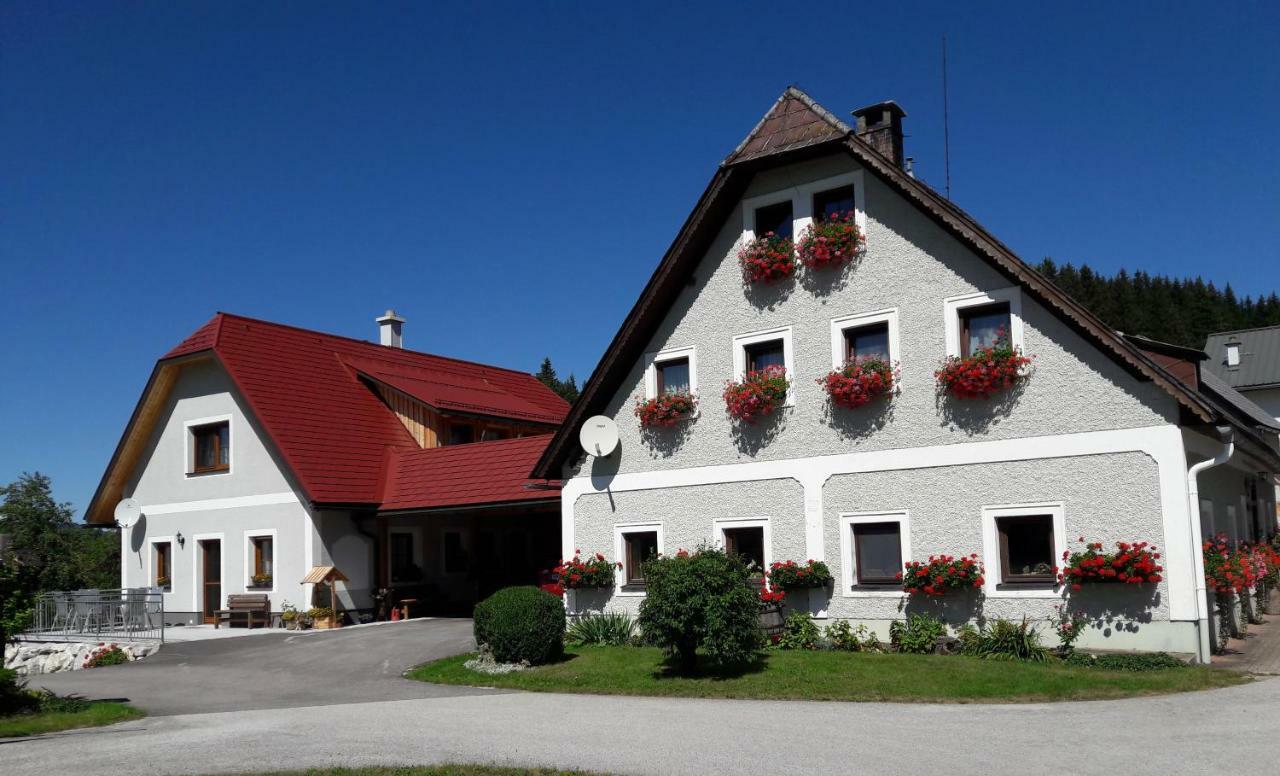 Apartmán Biobauernhof Obereck Göstling an der Ybbs Exteriér fotografie